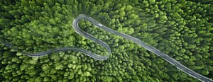Car driving along long and winding road through the forest