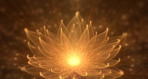 Water Lily, Radiant Orange Lotus with Rays of Light