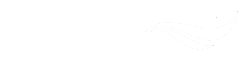 White line art of a hand holding a fish on a transparent background.